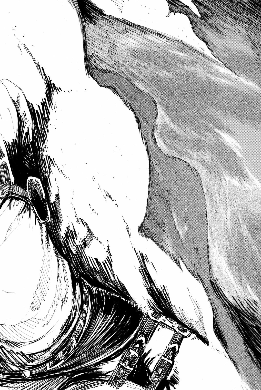 Attack on Titan, chapter 9, image 30