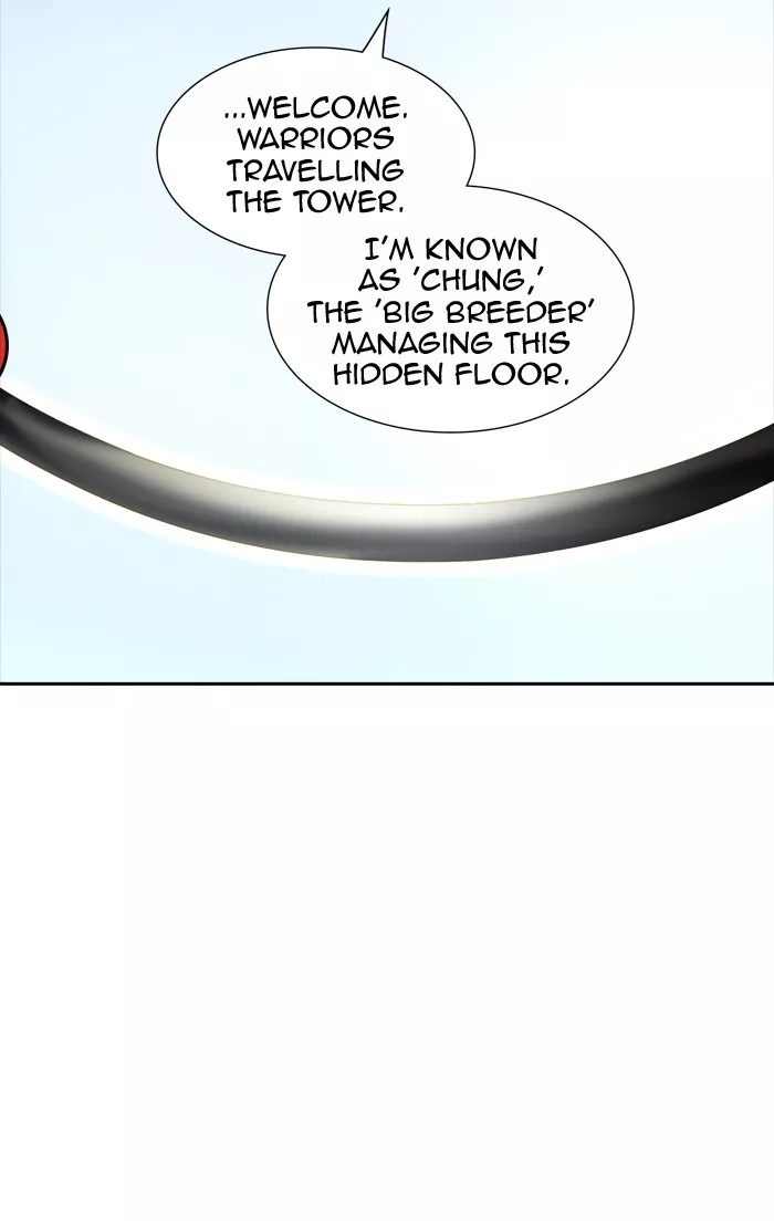 Tower of God, chapter 351, image 4