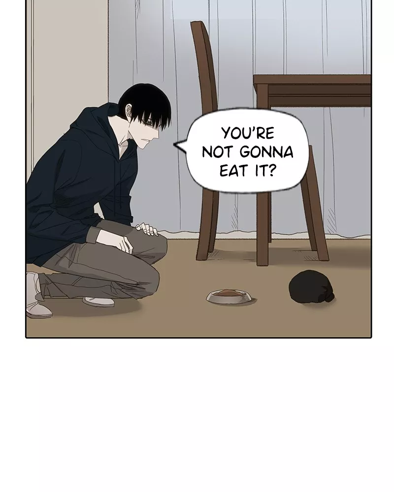 The Boxer, chapter 84, image 37