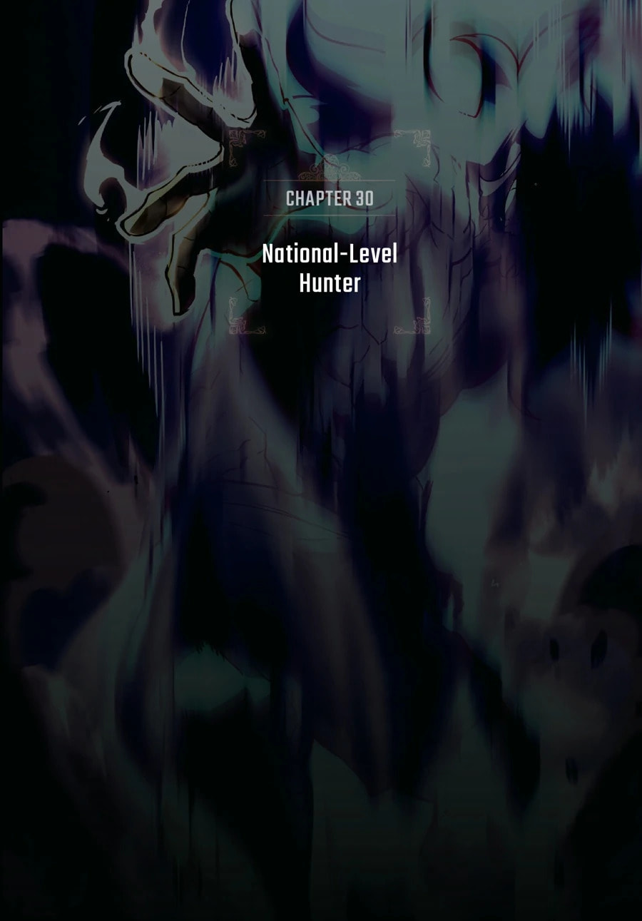 Solo Leveling, chapter 30, page 2