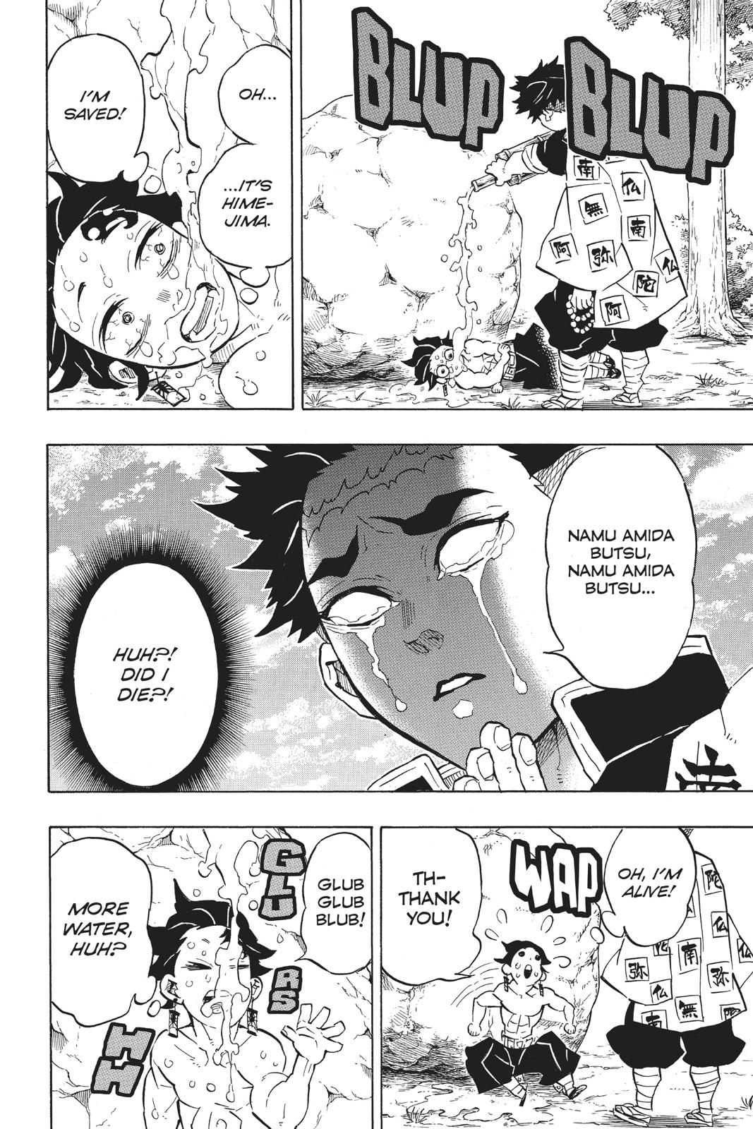 Demon Slayer: Kimetsu no Yaiba, chapter 135, image 8