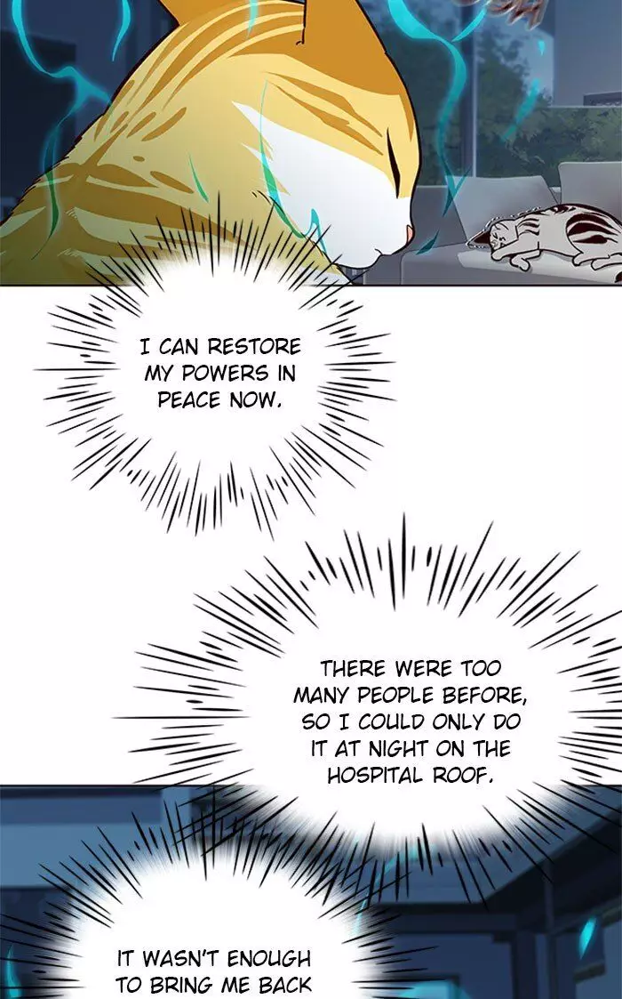 Eleceed, chapter 37, image 44