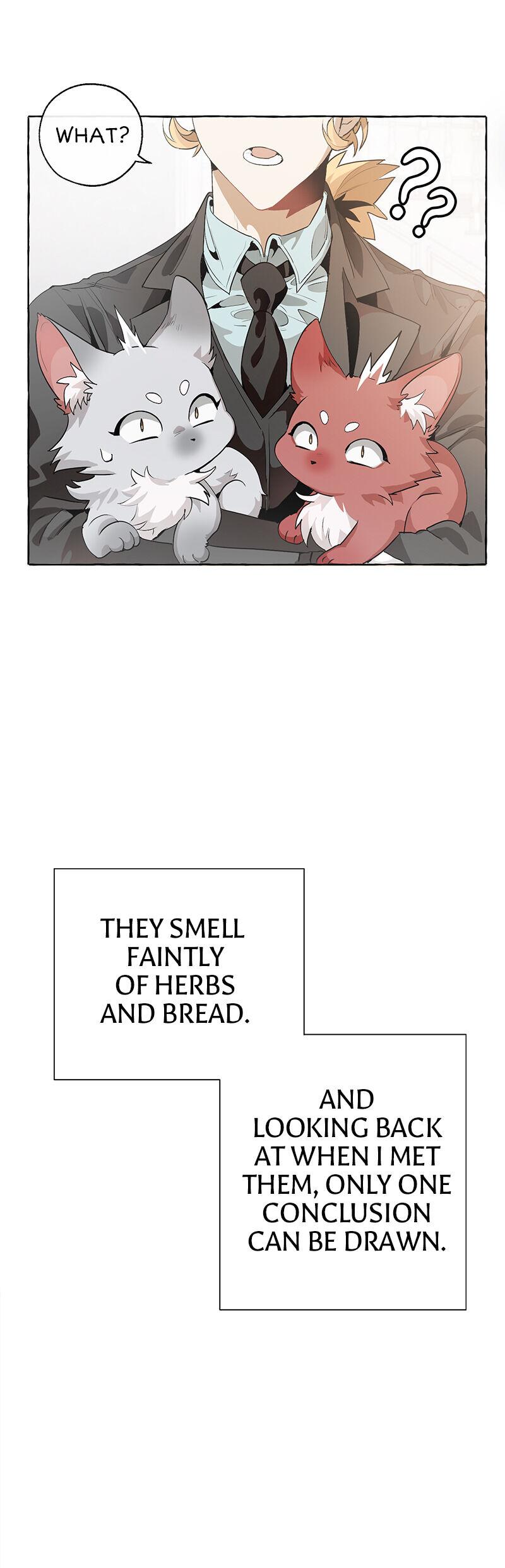 Trash of the Count’s Family, chapter 10, image 15