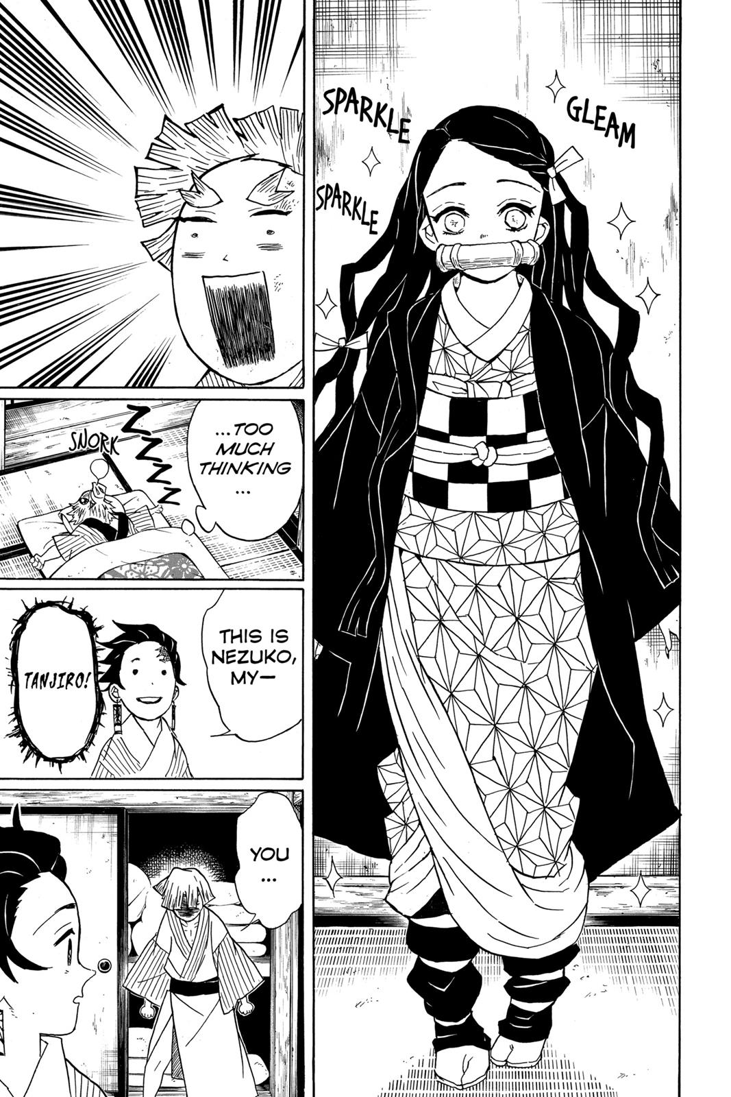 Demon Slayer: Kimetsu no Yaiba, chapter 27, image 17