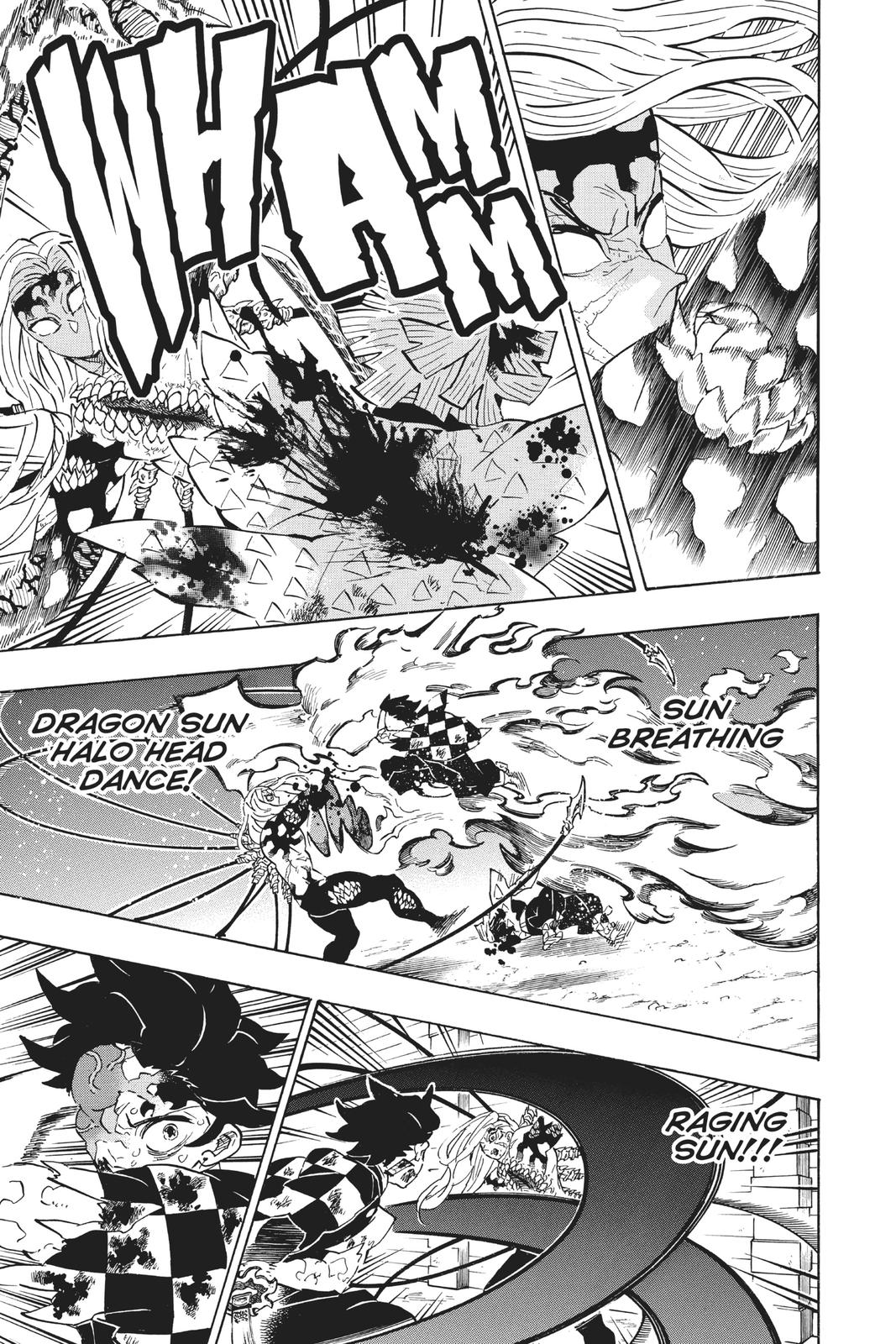Demon Slayer: Kimetsu no Yaiba, chapter 198, image 13