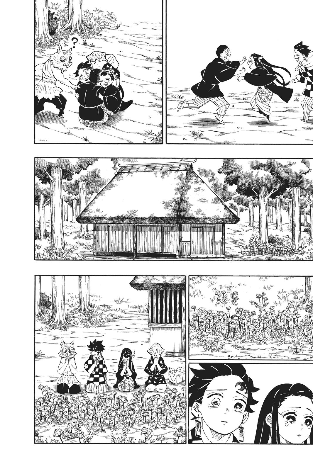 Demon Slayer: Kimetsu no Yaiba, chapter 204, image 25