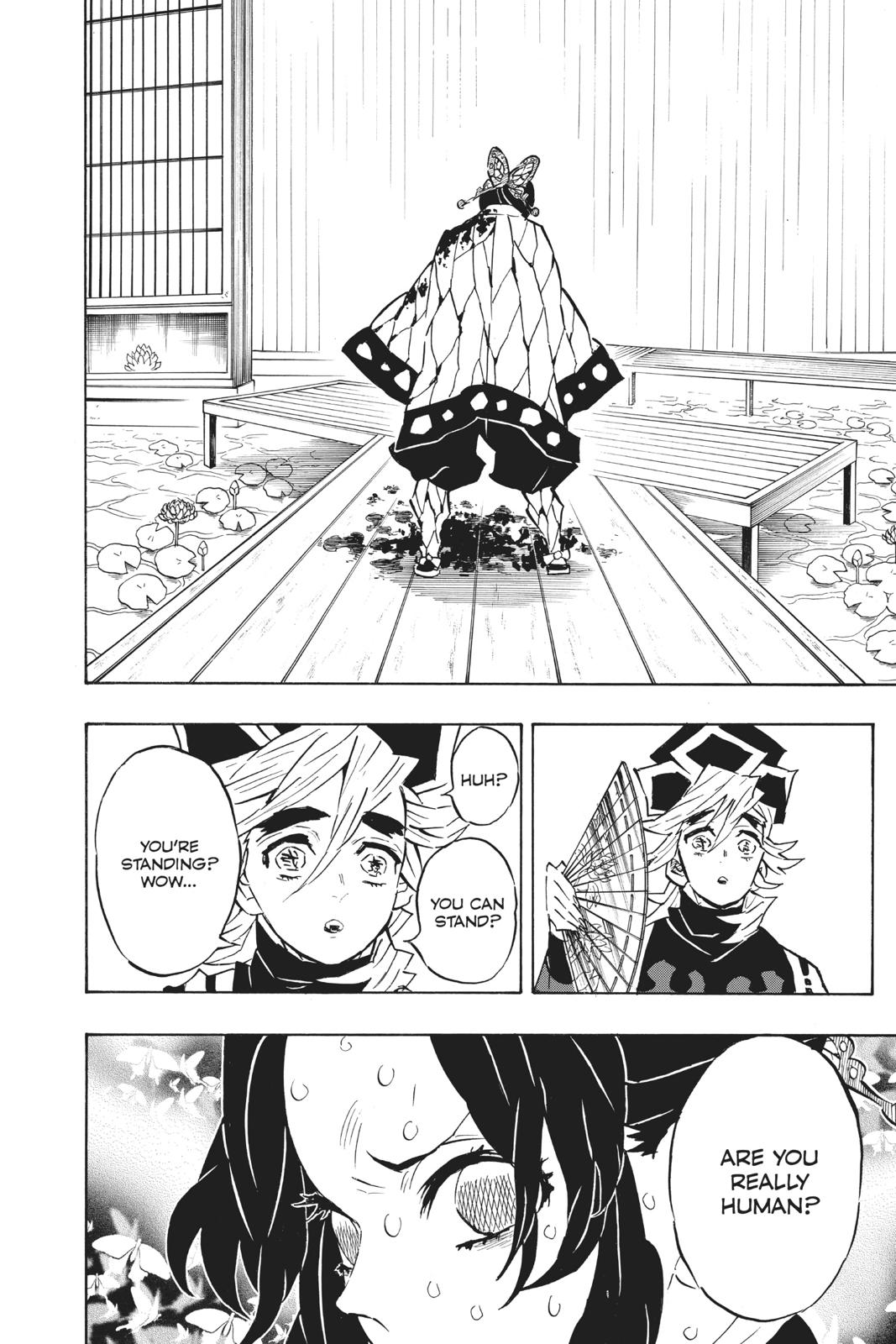 Demon Slayer: Kimetsu no Yaiba, chapter 142, image 14