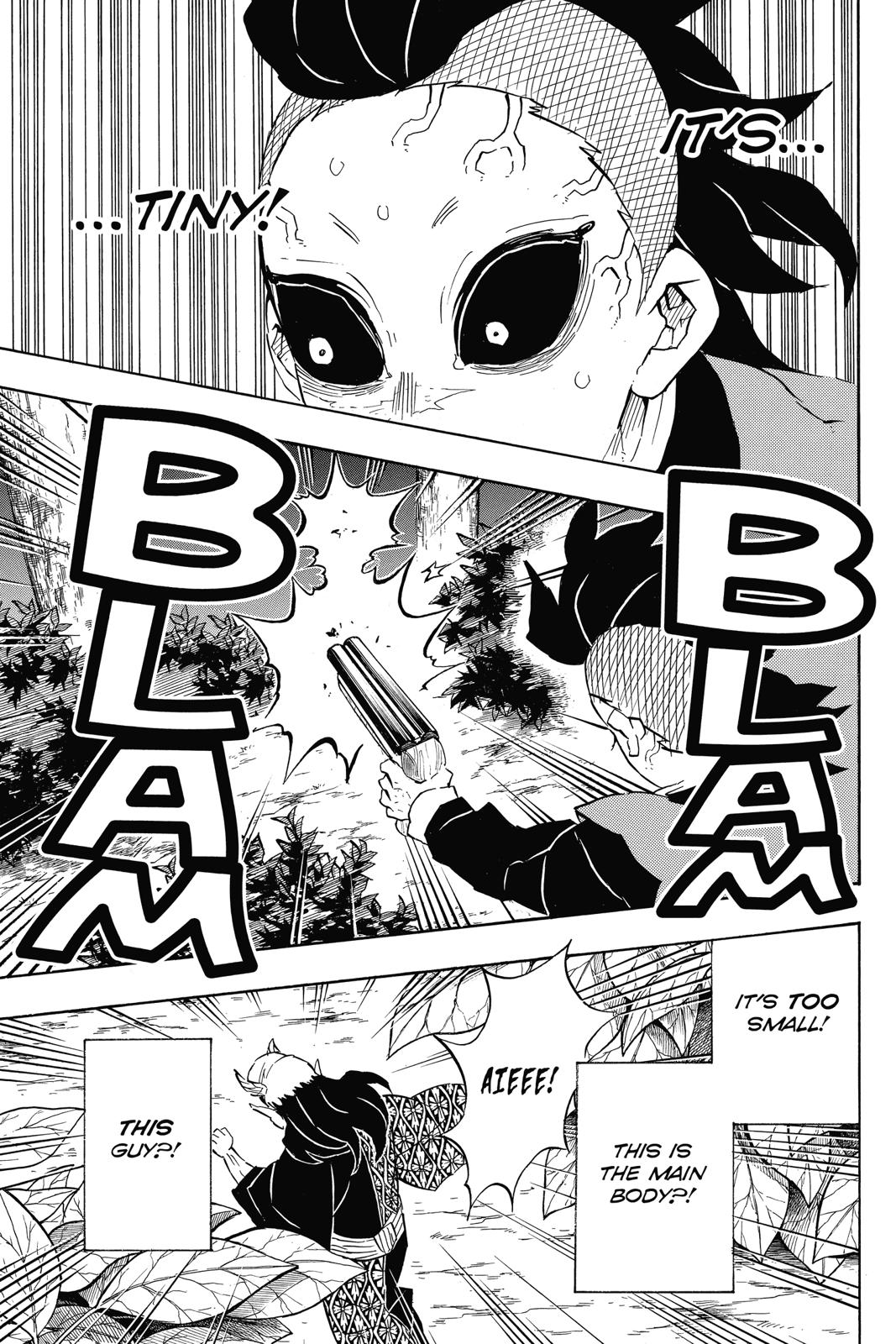 Demon Slayer: Kimetsu no Yaiba, chapter 114, image 13