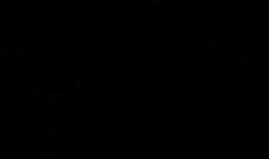 My Exclusive Tower Guide, chapter 131, image 12