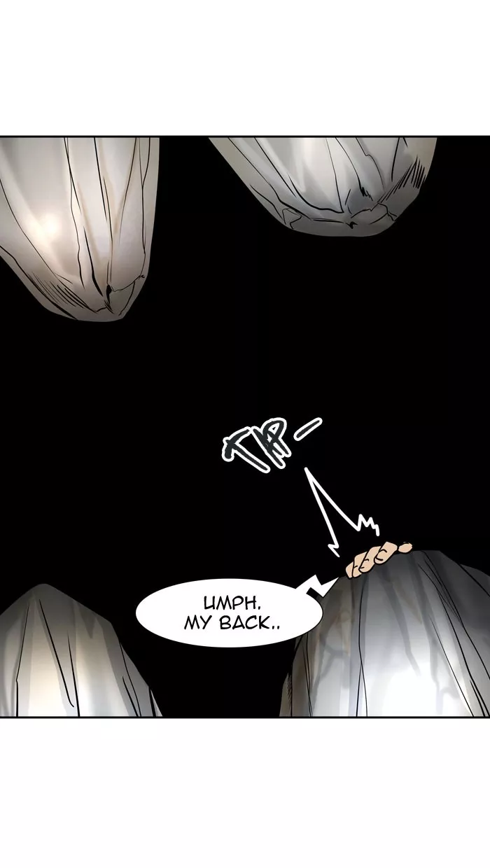 Tower of God, chapter 315, image 30