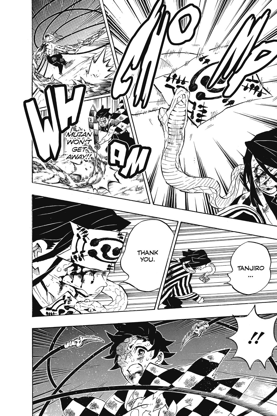 Demon Slayer: Kimetsu no Yaiba, chapter 195, image 16