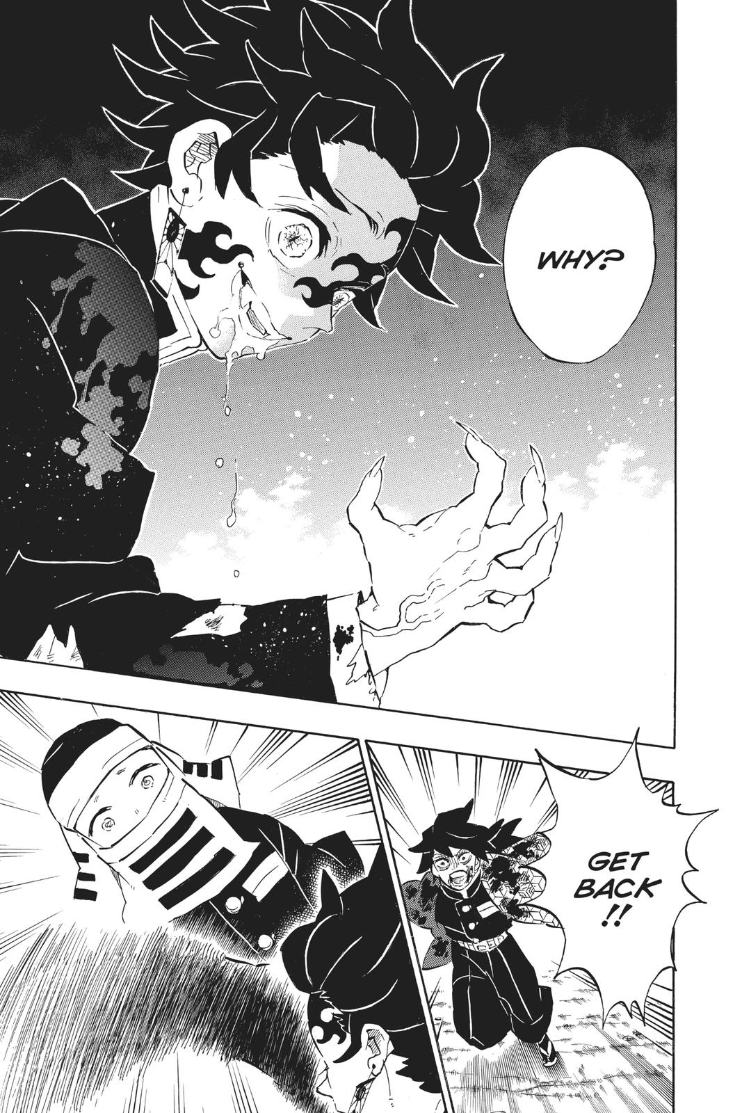 Demon Slayer: Kimetsu no Yaiba, chapter 201, image 9