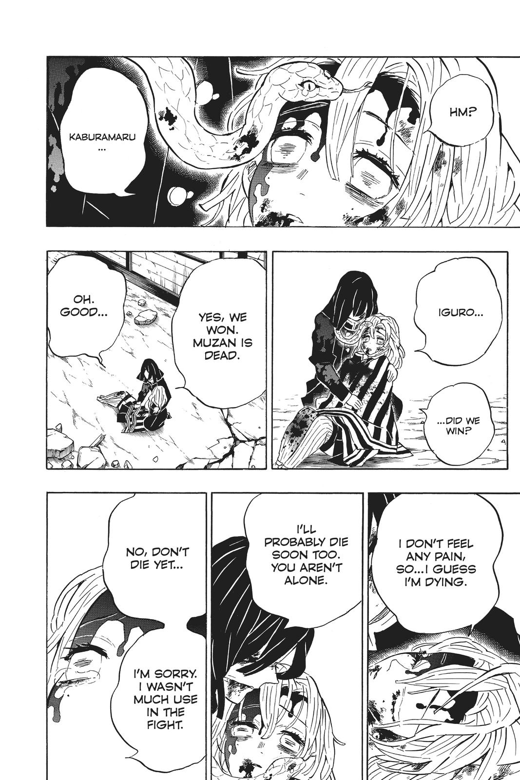 Demon Slayer: Kimetsu no Yaiba, chapter 200, image 11