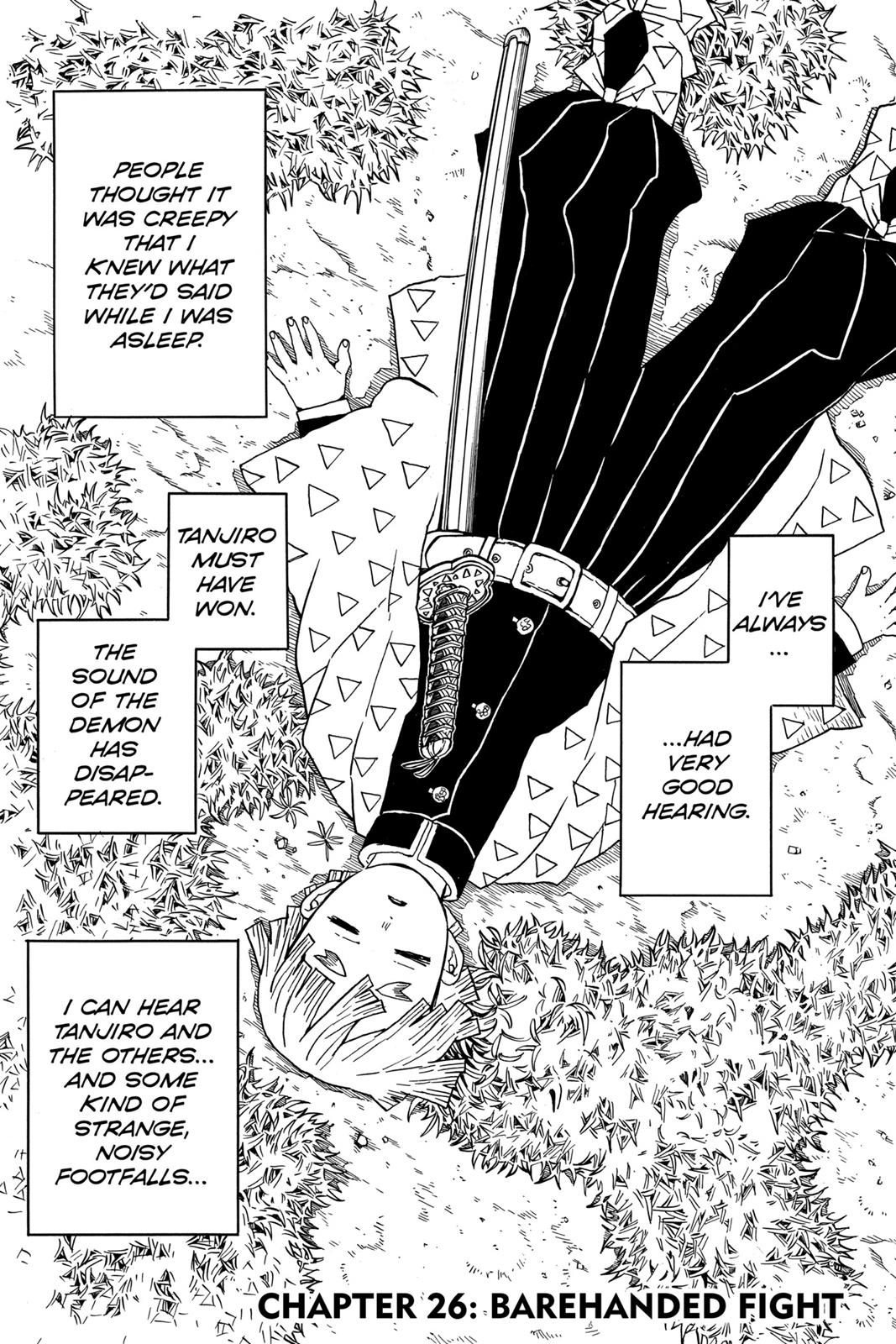Demon Slayer: Kimetsu no Yaiba, chapter 26, image 7