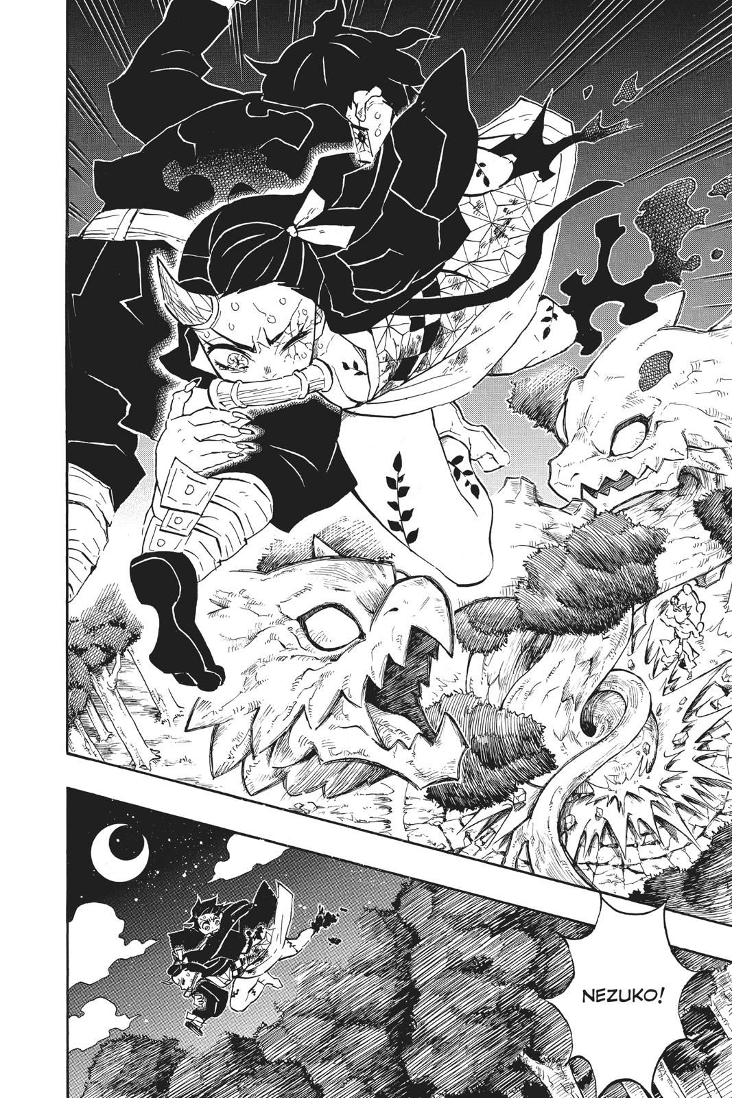 Demon Slayer: Kimetsu no Yaiba, chapter 116, image 12