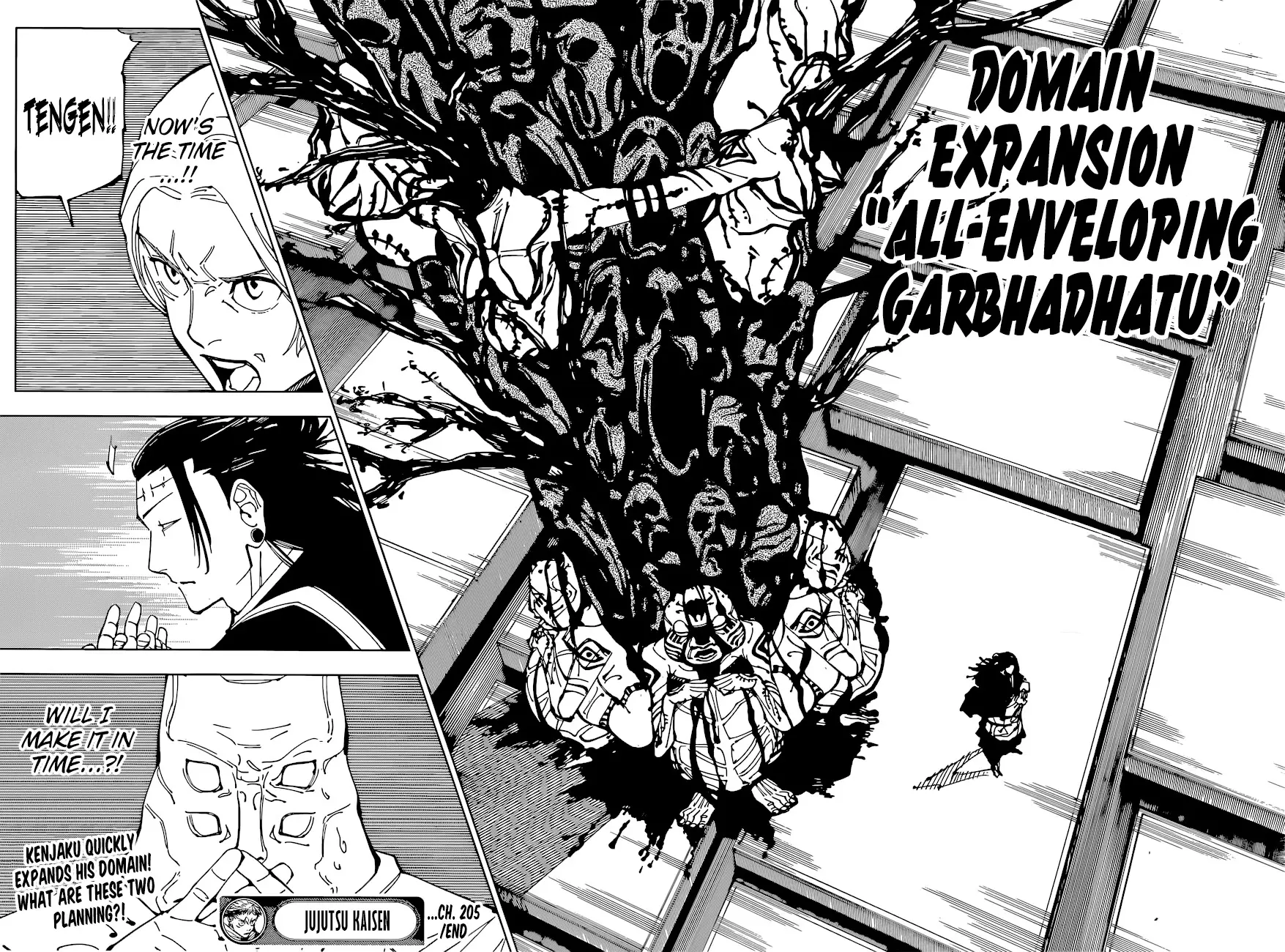 Jujutsu Kaisen, chapter 205, image 17