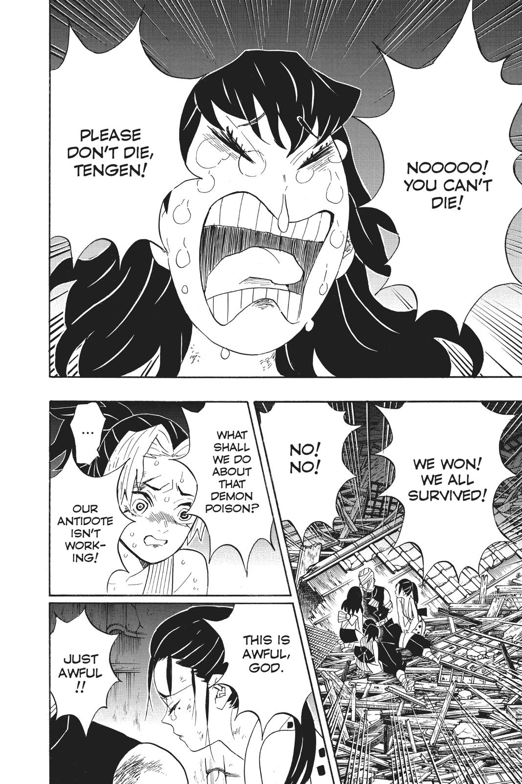 Demon Slayer: Kimetsu no Yaiba, chapter 95, image 10