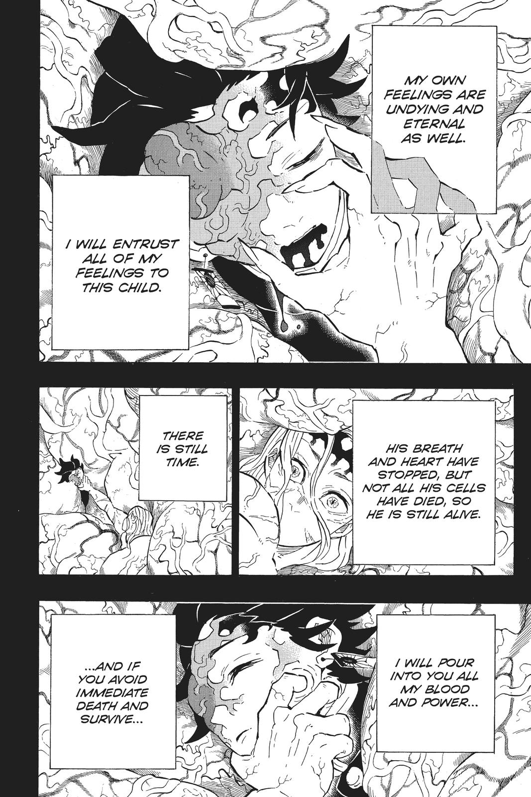 Demon Slayer: Kimetsu no Yaiba, chapter 201, image 4