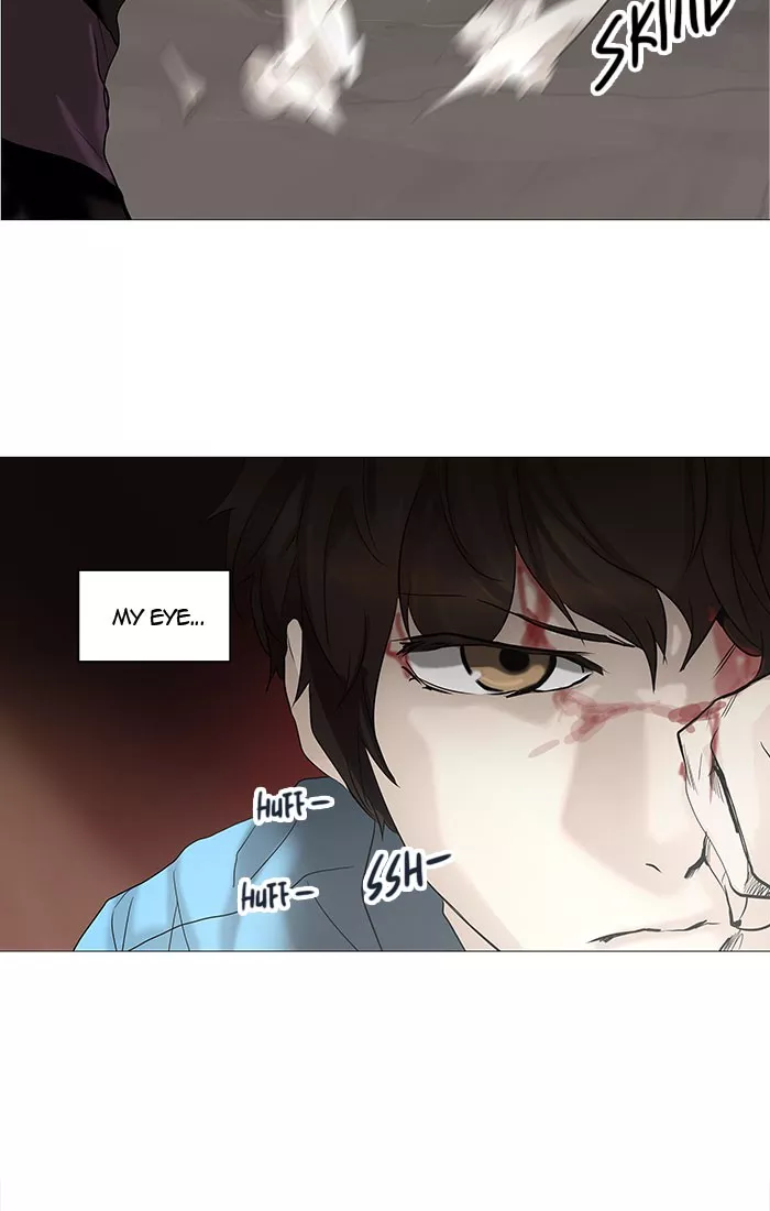 Tower of God, chapter 247, image 29