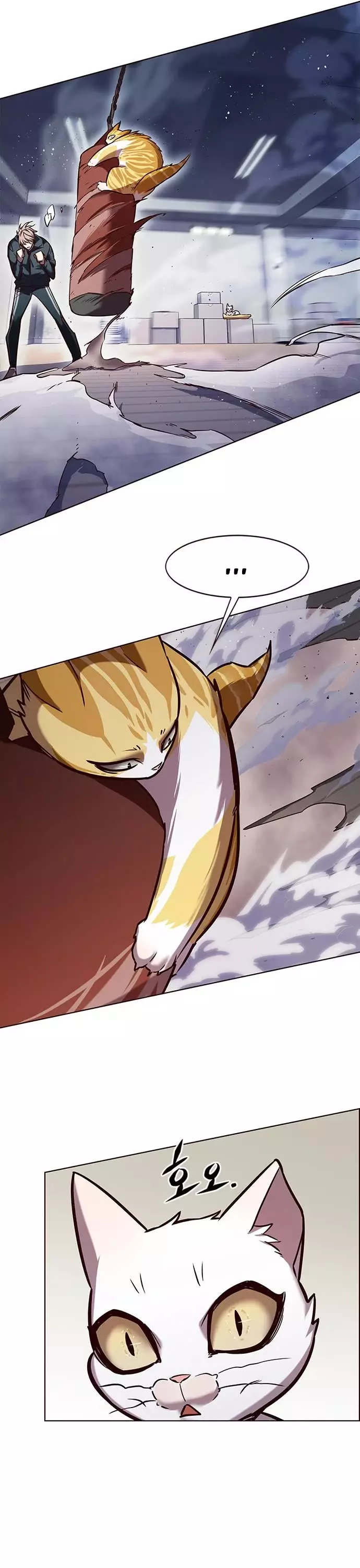 Eleceed, chapter 241, image 17