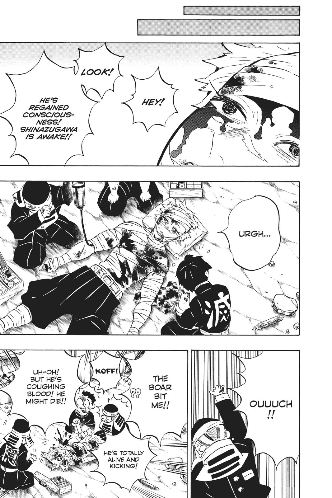 Demon Slayer: Kimetsu no Yaiba, chapter 200, image 18