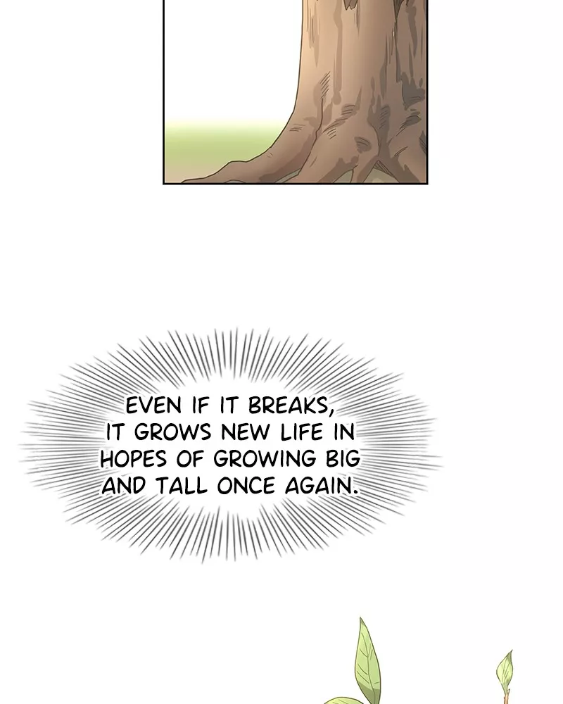 The Boxer, chapter 33, image 91