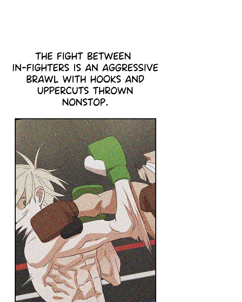 The Boxer, chapter 36, image 41