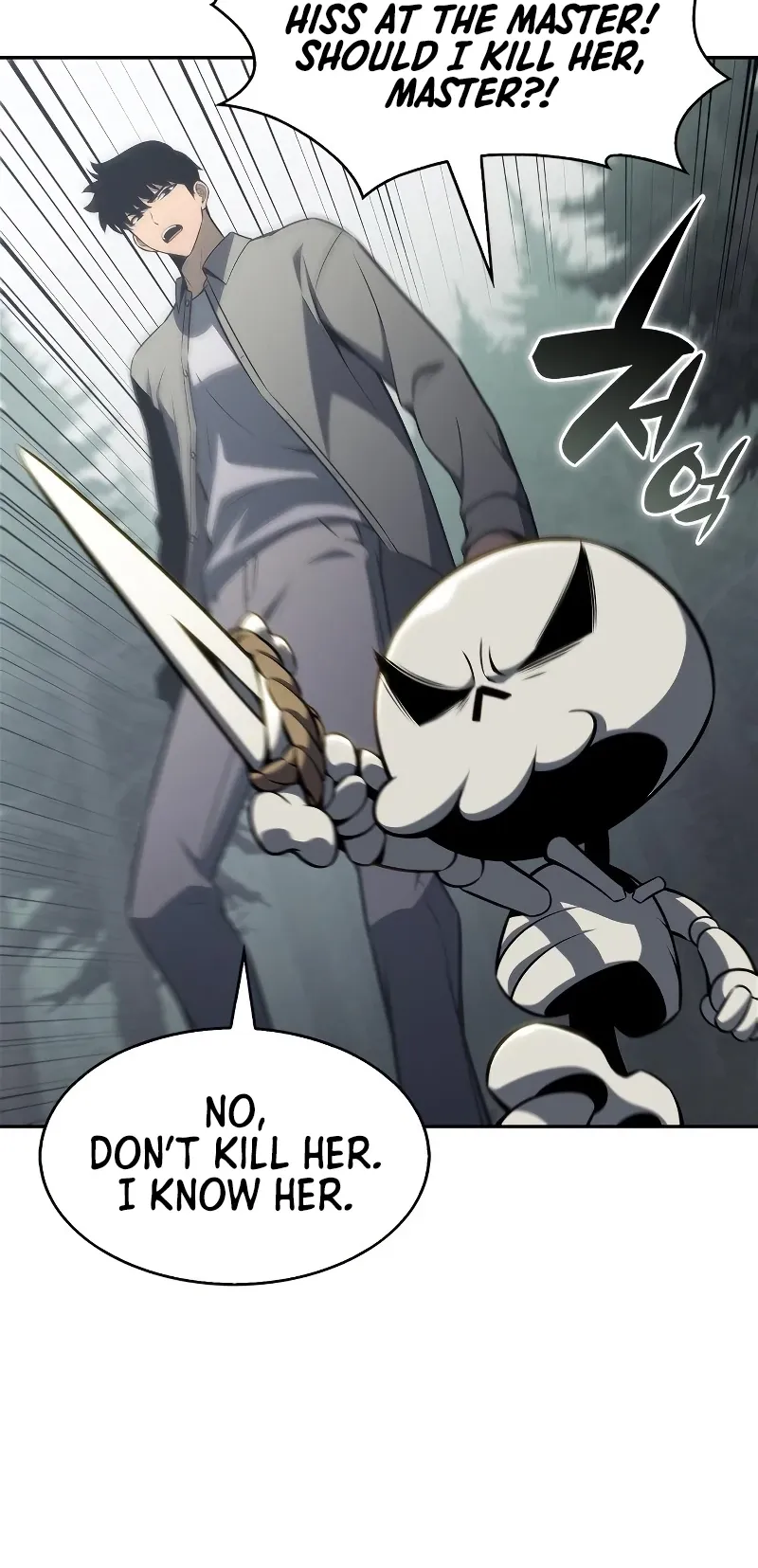 Solo Max-Level Newbie, chapter 251, image 5