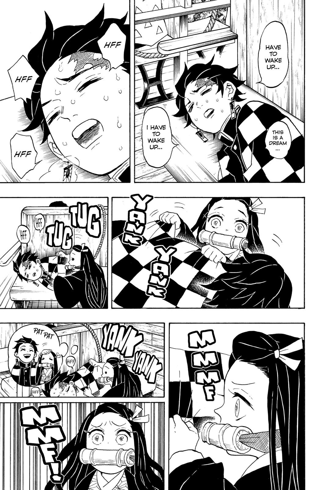Demon Slayer: Kimetsu no Yaiba, chapter 56, image 17