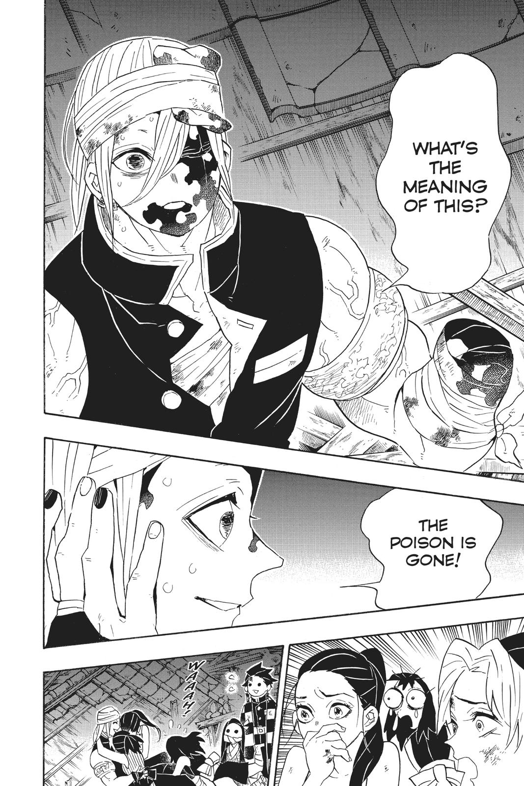Demon Slayer: Kimetsu no Yaiba, chapter 95, image 14