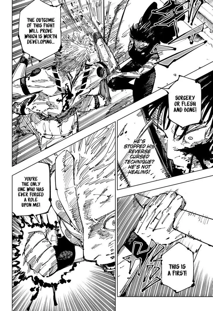 Jujutsu Kaisen, chapter 253, image 19