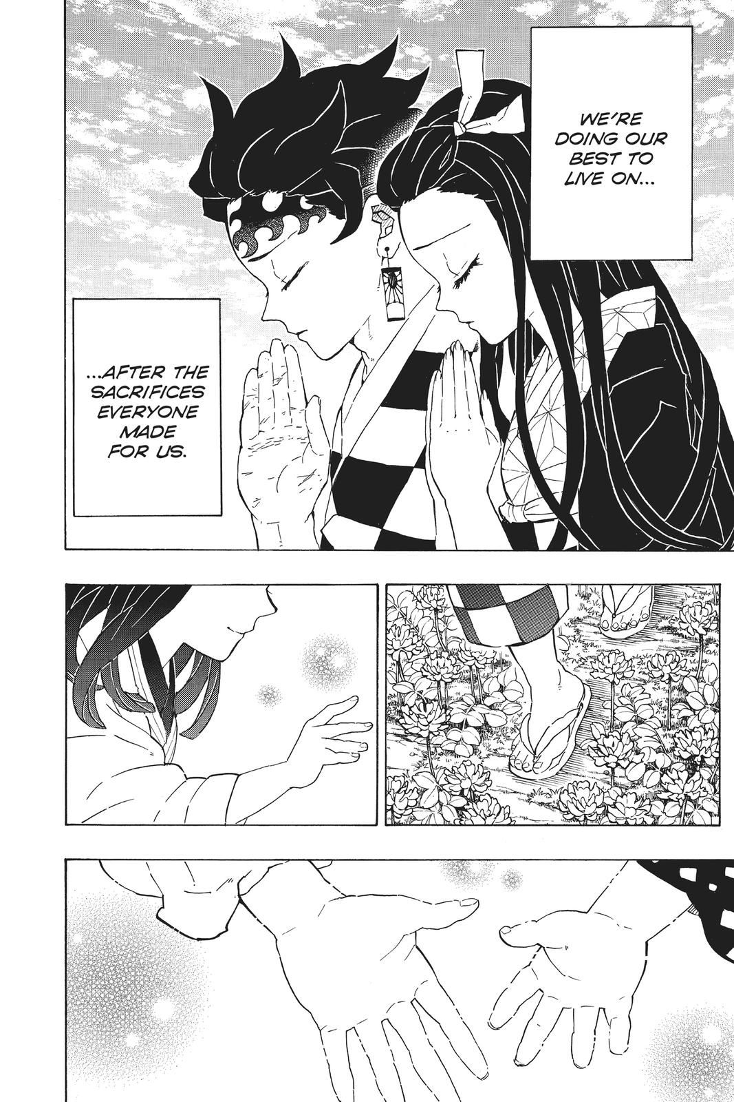 Demon Slayer: Kimetsu no Yaiba, chapter 204, image 27