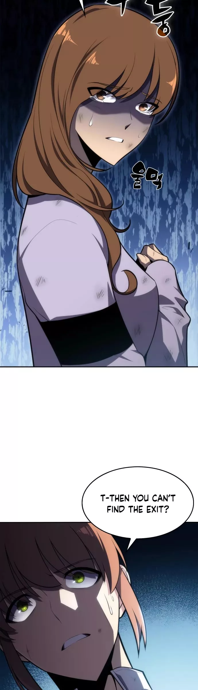 Solo Max-Level Newbie, chapter 10, image 30