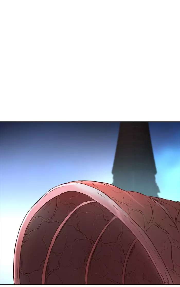 Tower of God, chapter 335, image 49