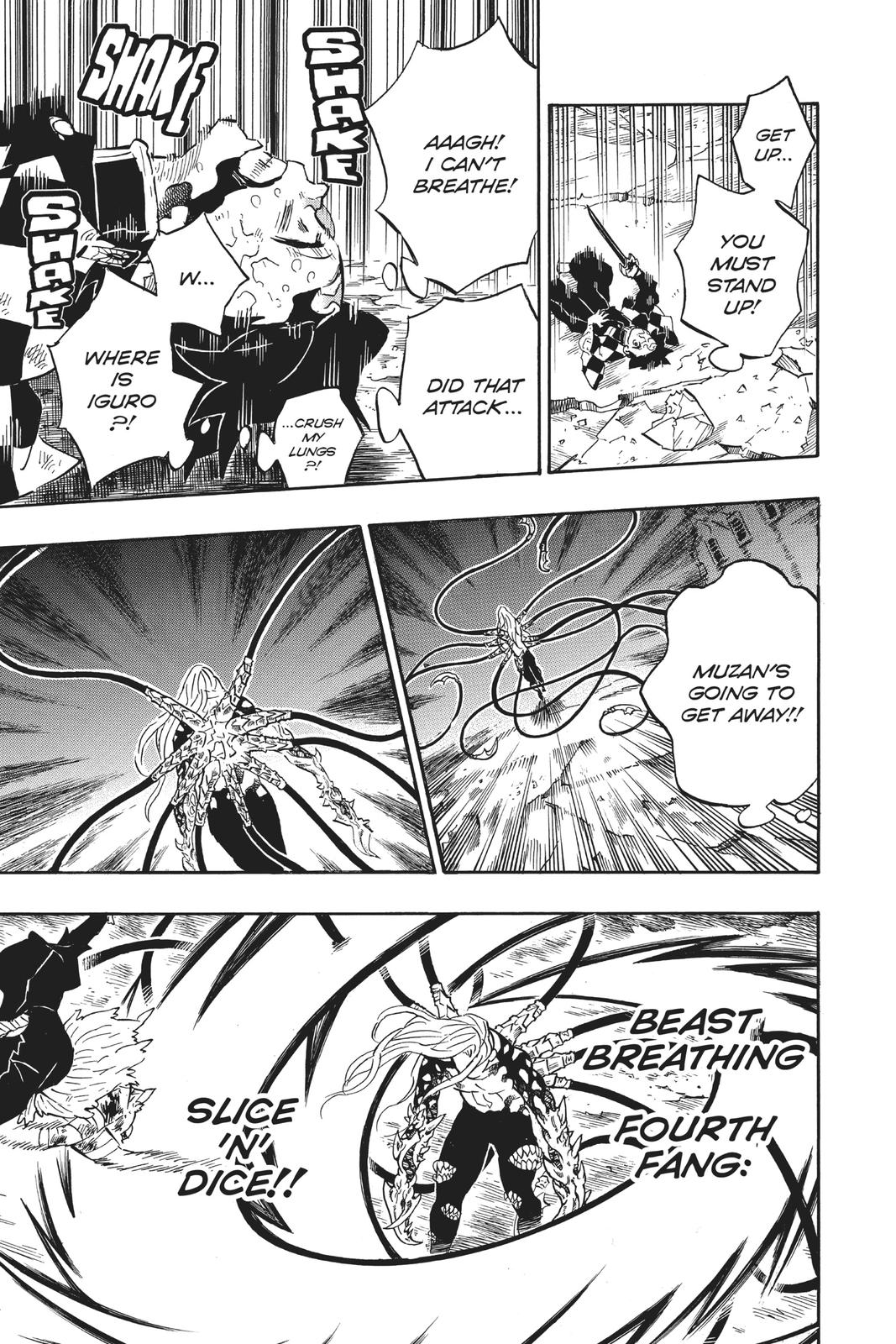 Demon Slayer: Kimetsu no Yaiba, chapter 197, image 14