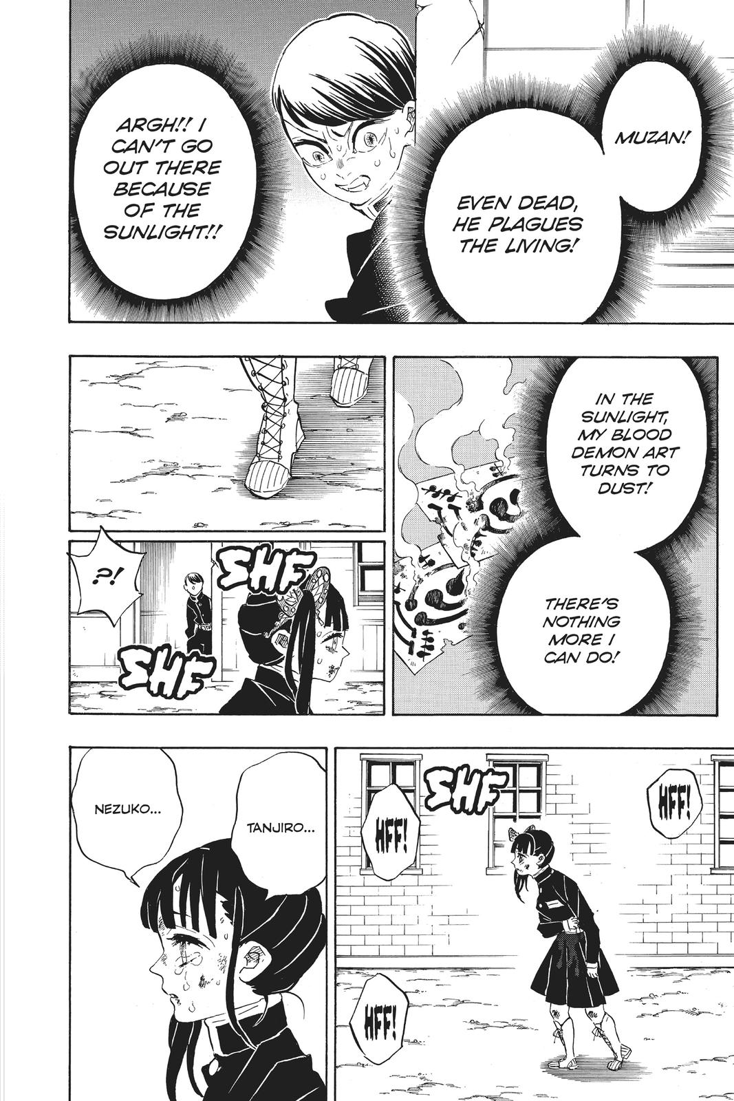 Demon Slayer: Kimetsu no Yaiba, chapter 202, image 14