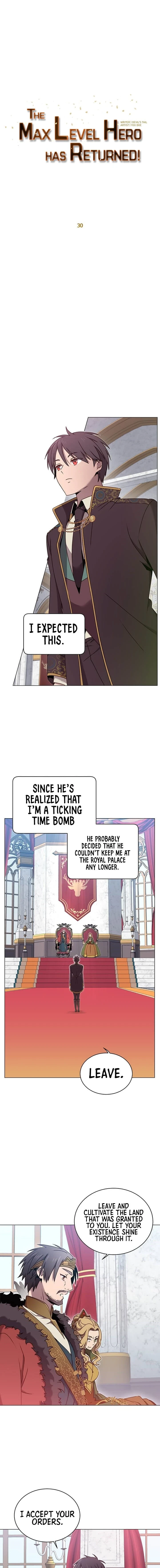 The Max Level Hero has Returned!, chapter 30, image 7