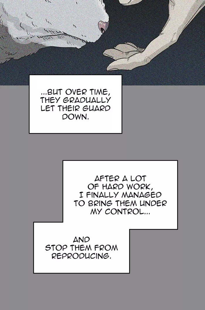 Tower of God, chapter 494, image 13