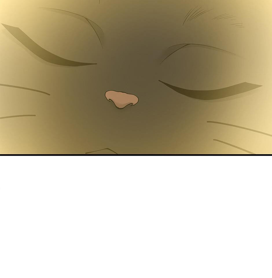 The Beginning After the End, chapter 125, image 91