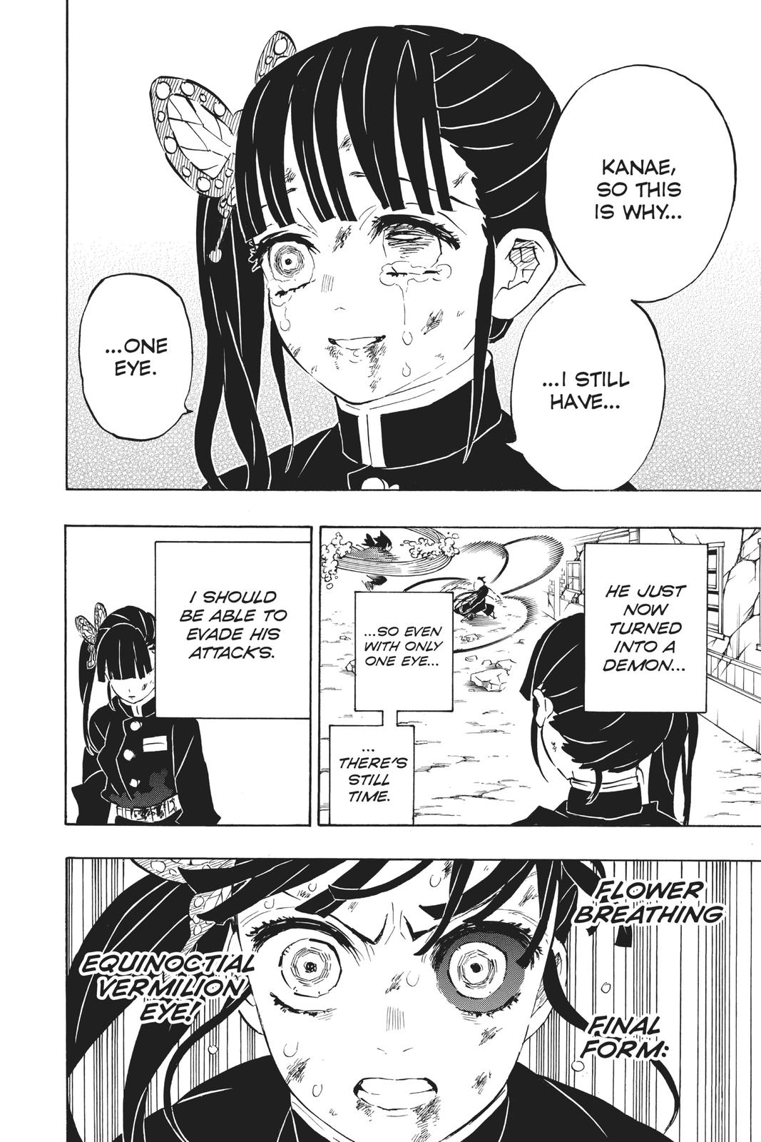 Demon Slayer: Kimetsu no Yaiba, chapter 202, image 16