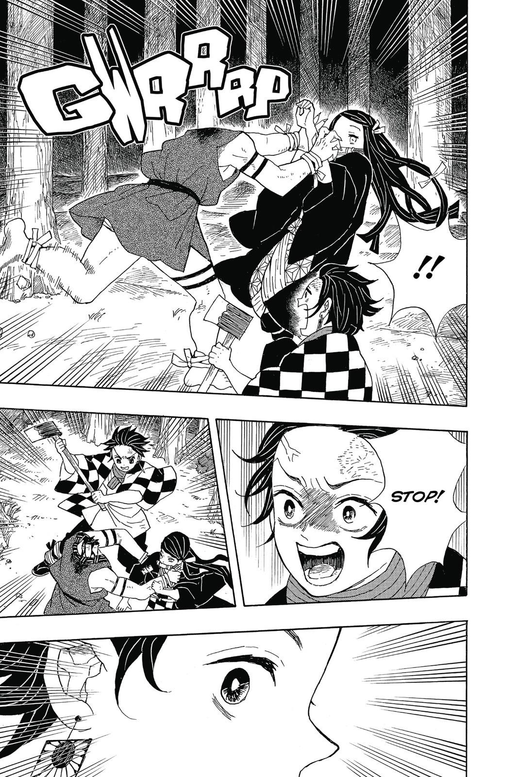 Demon Slayer: Kimetsu no Yaiba, chapter 2, image 17