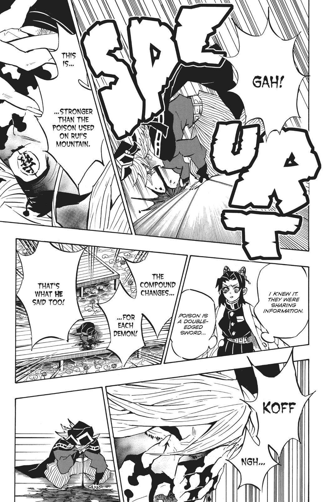 Demon Slayer: Kimetsu no Yaiba, chapter 141, image 17