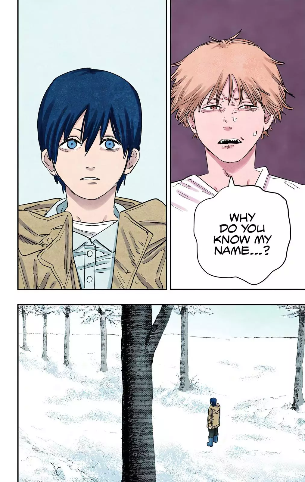 Chainsaw Man, chapter 77, image 12