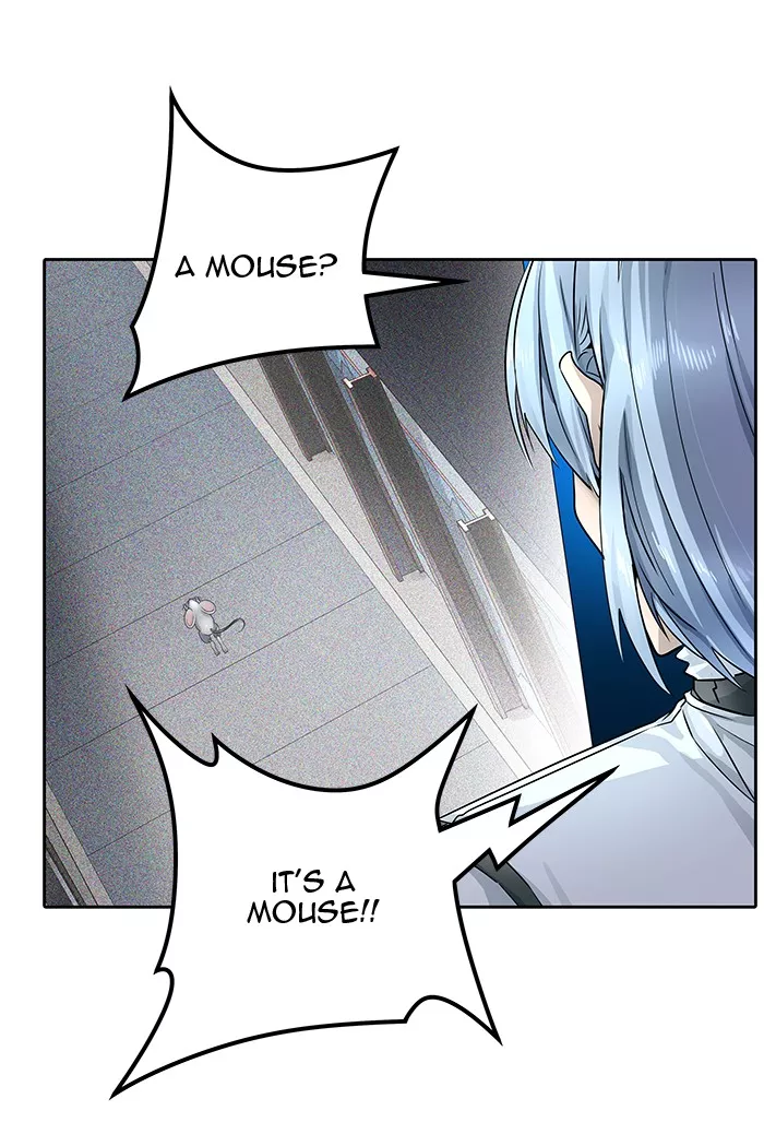Tower of God, chapter 501, image 17