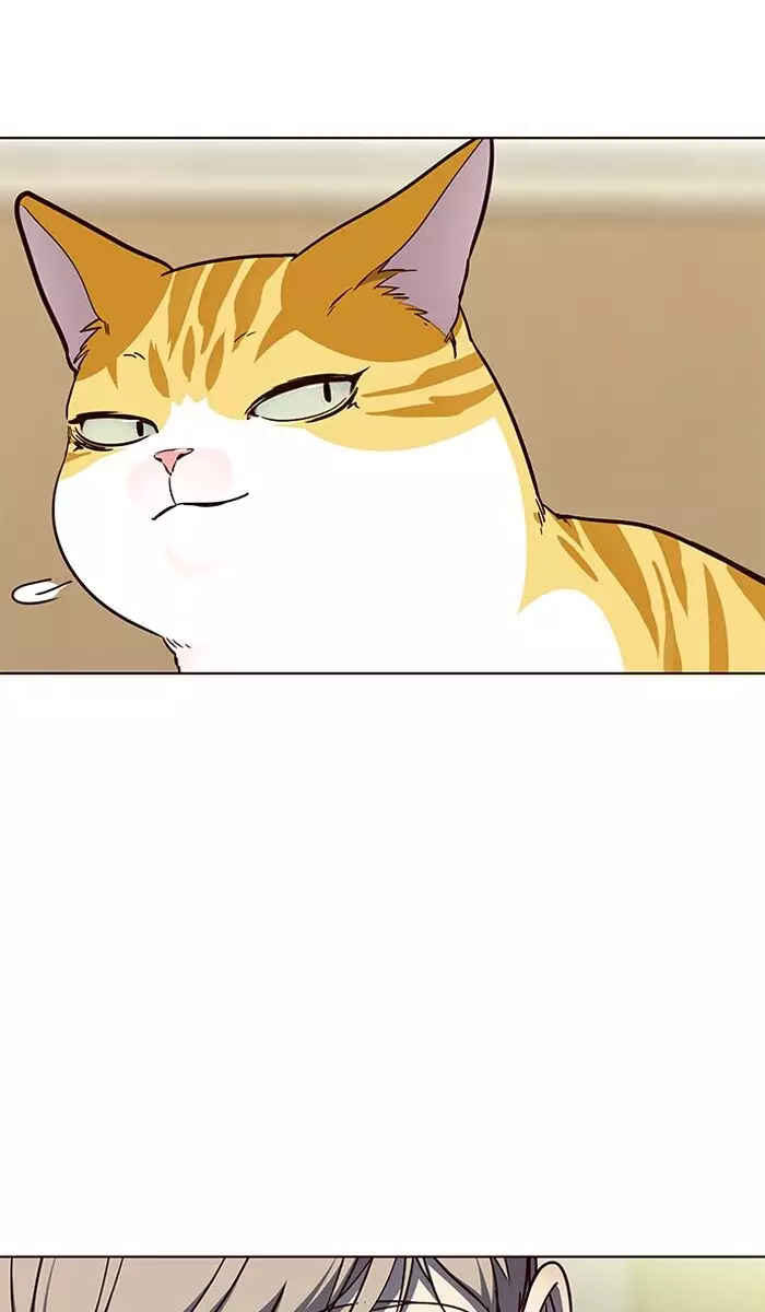 Eleceed, chapter 61, image 75