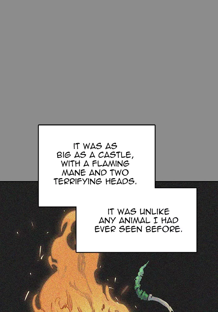 Tower of God, chapter 494, image 24