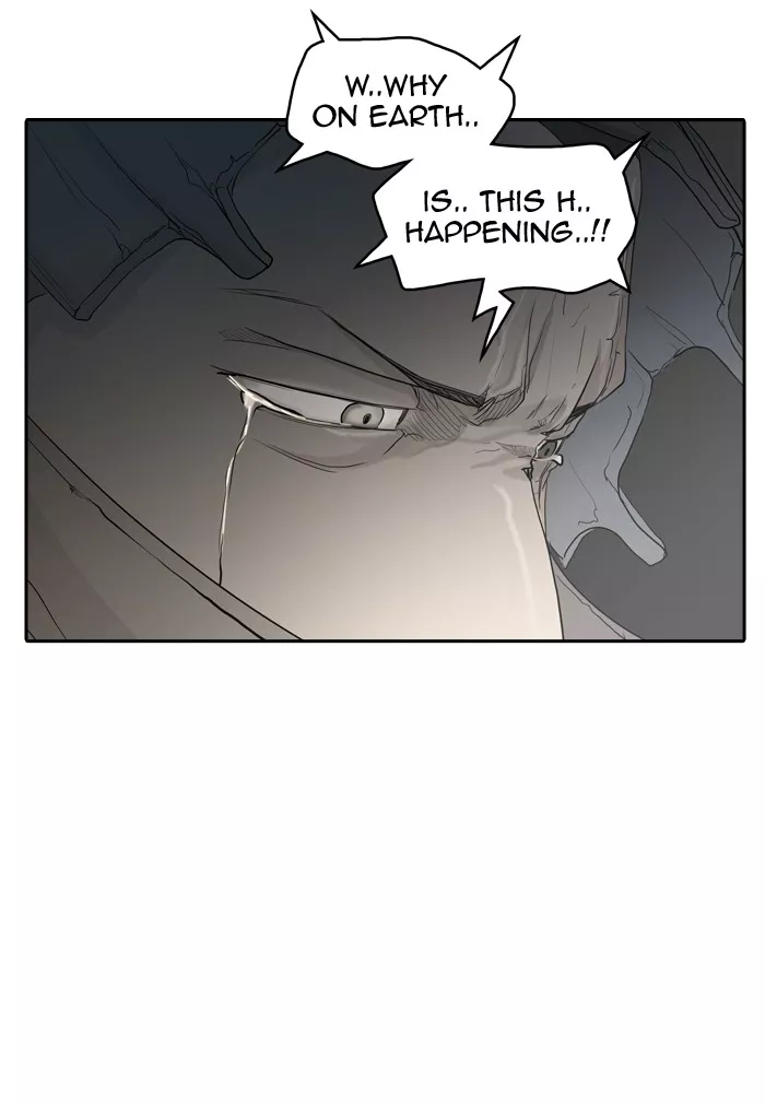 Tower of God, chapter 355, image 41