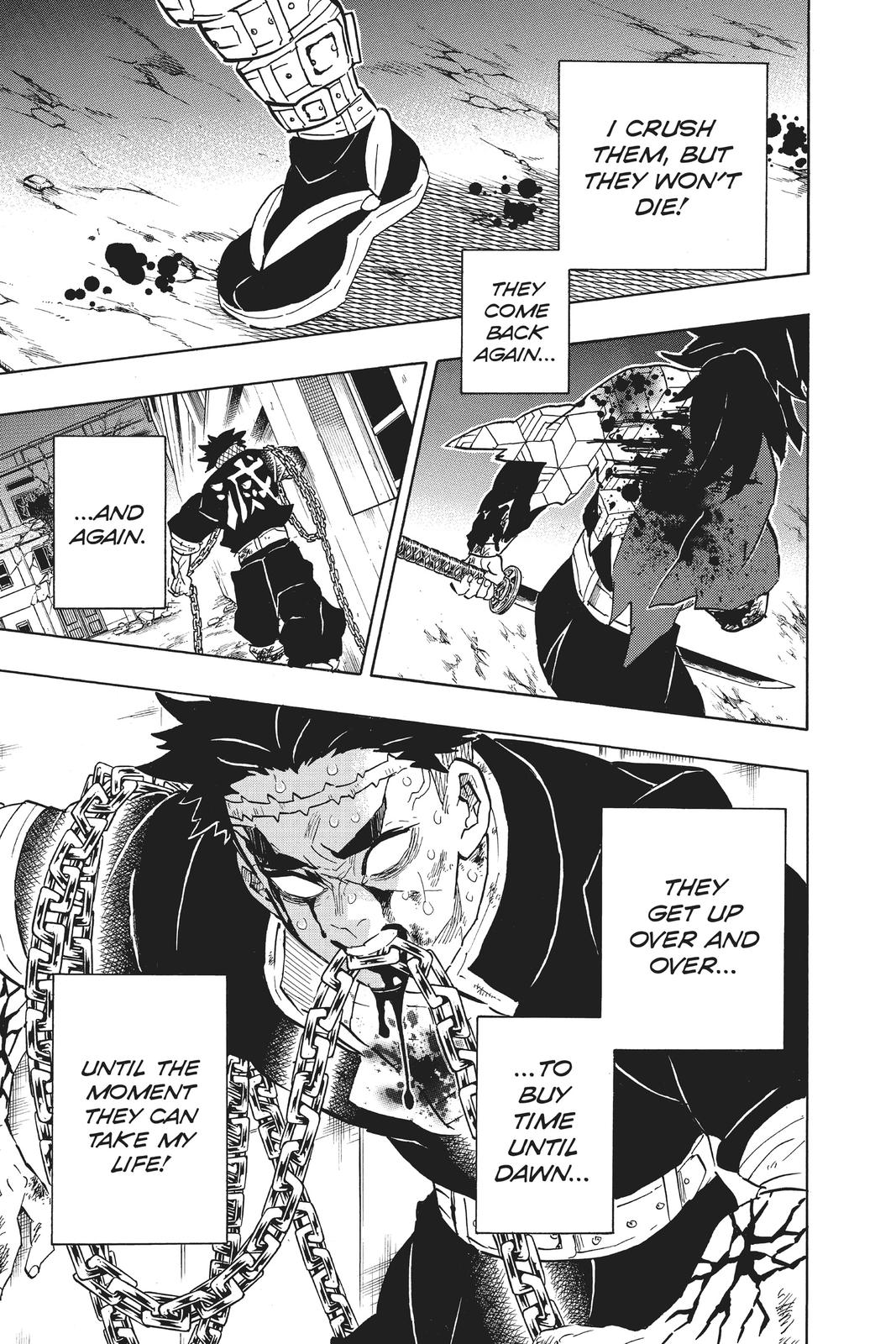 Demon Slayer: Kimetsu no Yaiba, chapter 197, image 24