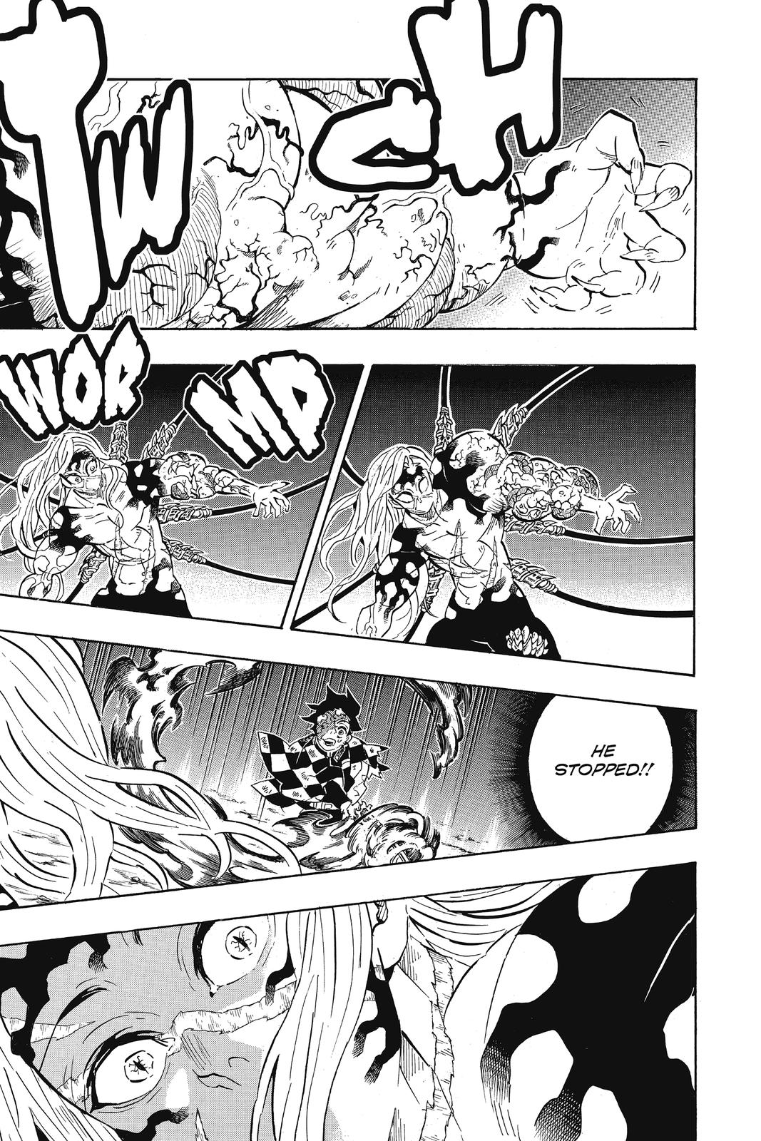 Demon Slayer: Kimetsu no Yaiba, chapter 196, image 17
