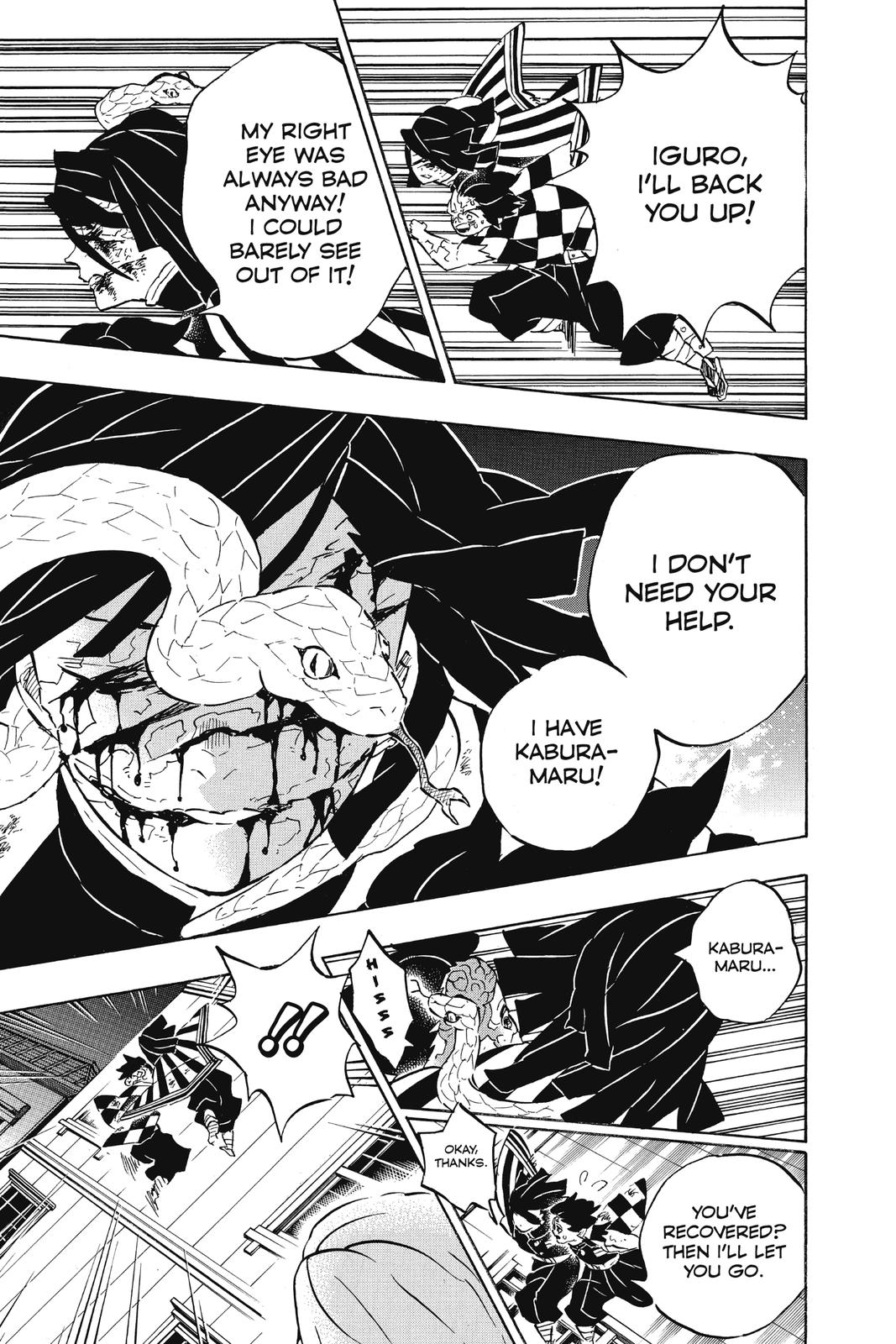 Demon Slayer: Kimetsu no Yaiba, chapter 194, image 11
